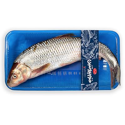 ماهی سفید تازه ( 1 کیلوگرمی)