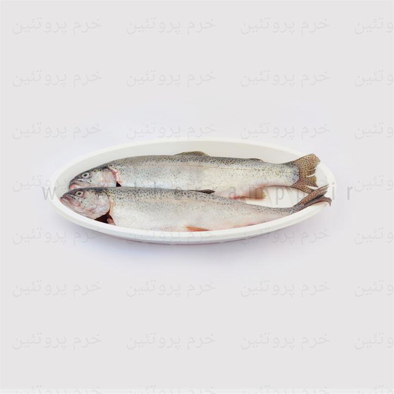 ماهی قزل آلا پاک شده تازه خرّم پروتئین (1 کیلویی)